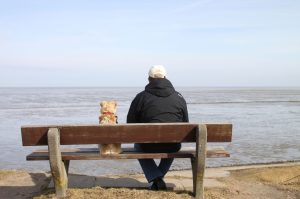 chien espérance de vie