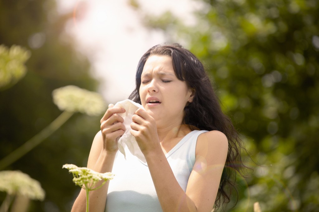 Pollen Allergies Are Getting Worse, and It’s All Our Own Fault