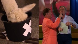 Jort Kelder en een ALpaca