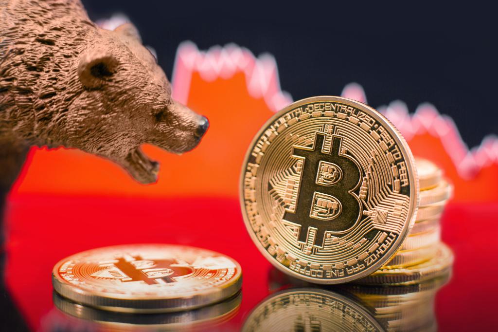 Am întrebat experți în Bitcoin și alte criptomonede ce poți face acum că piața a căzut