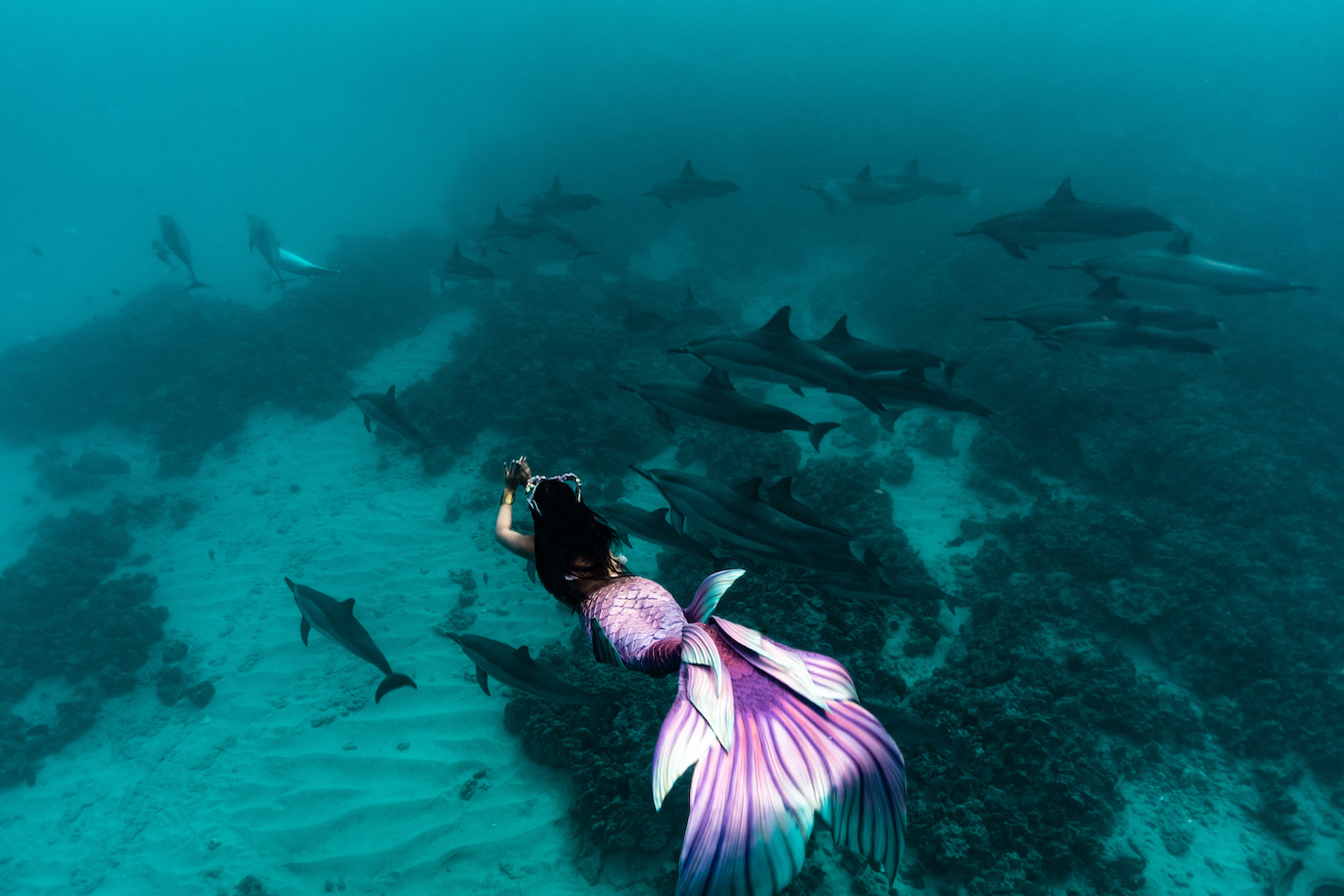 sirenă profesionistă, singapore, job de sirena