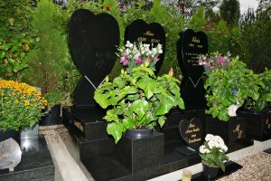 cimitir de caini din franta, cimitir de caini
