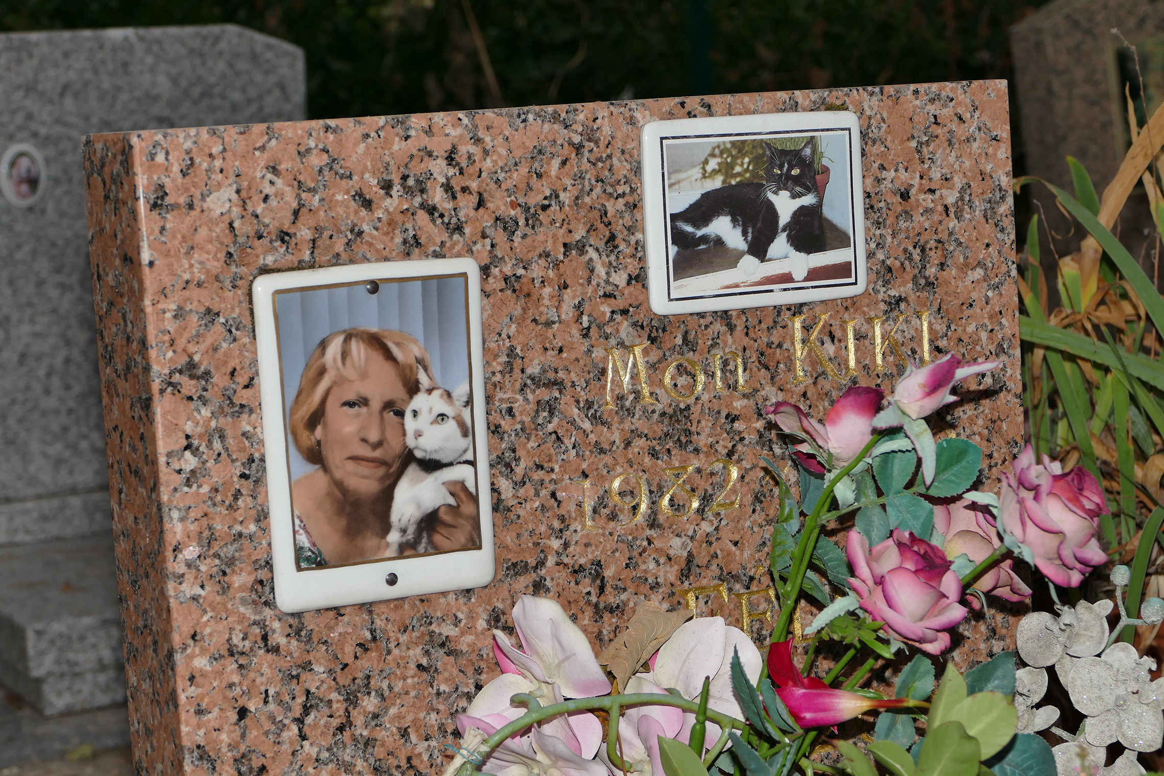cimitir de caini din franta, cimitir de caini