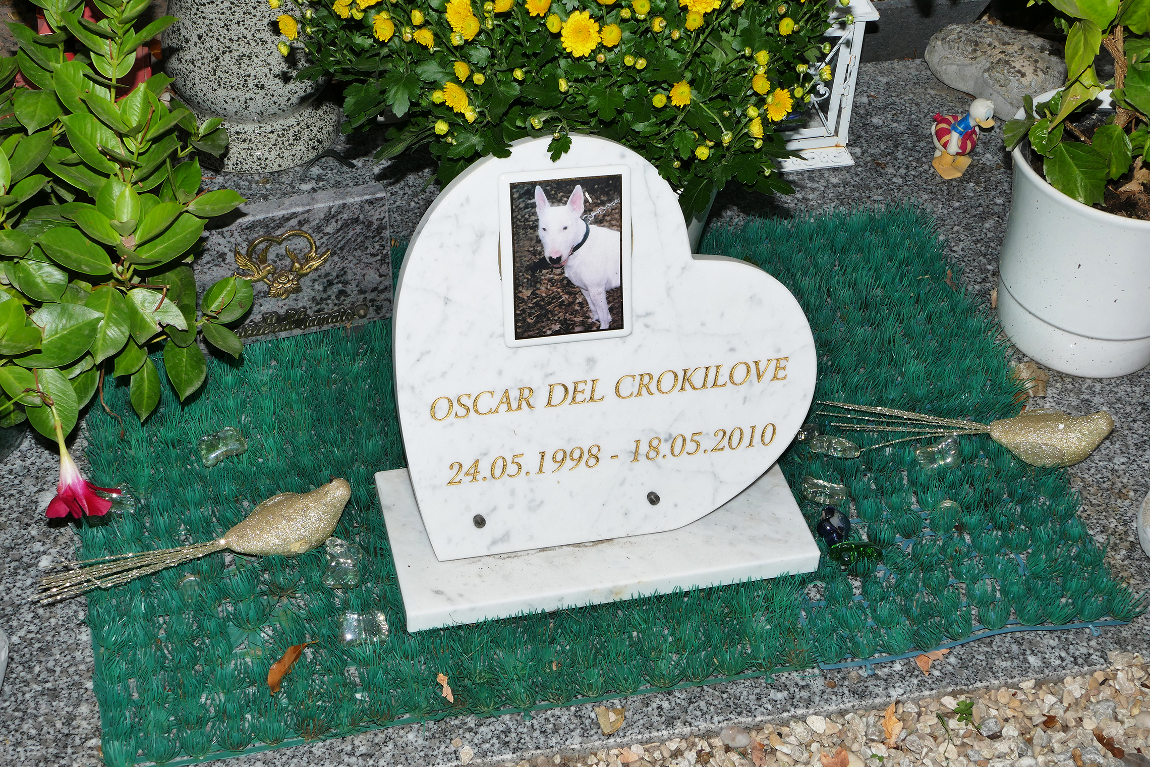 cimitir de caini din franta, cimitir de caini