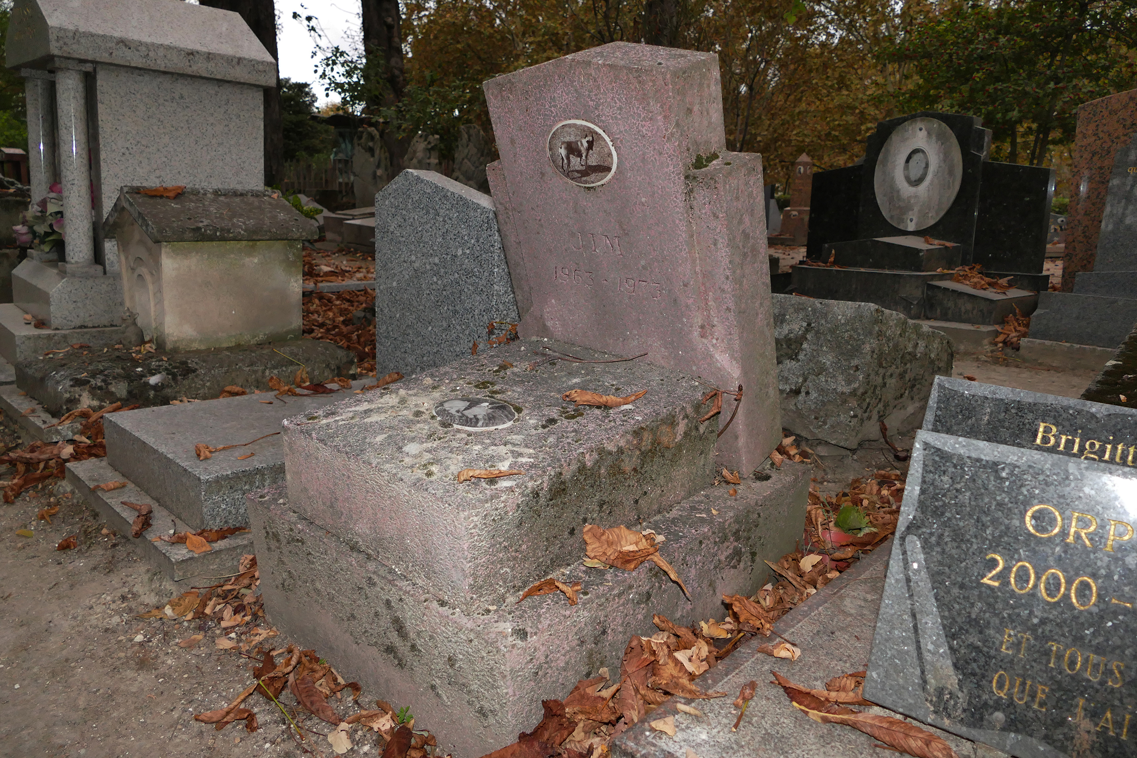 cimitir de caini din franta, cimitir de caini