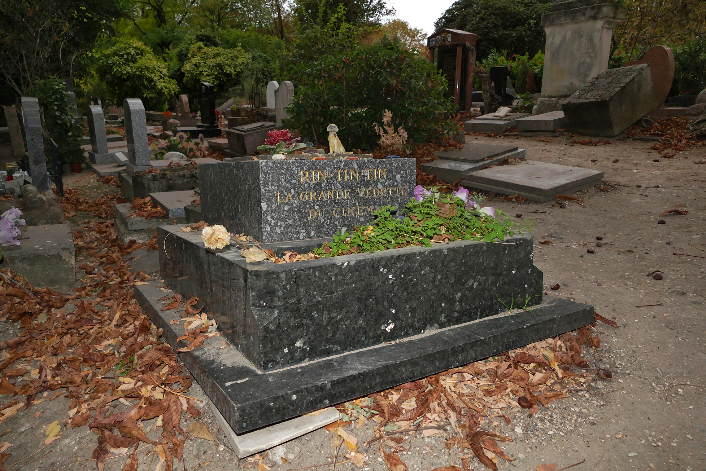 cimitir de caini din franta, cimitir de caini