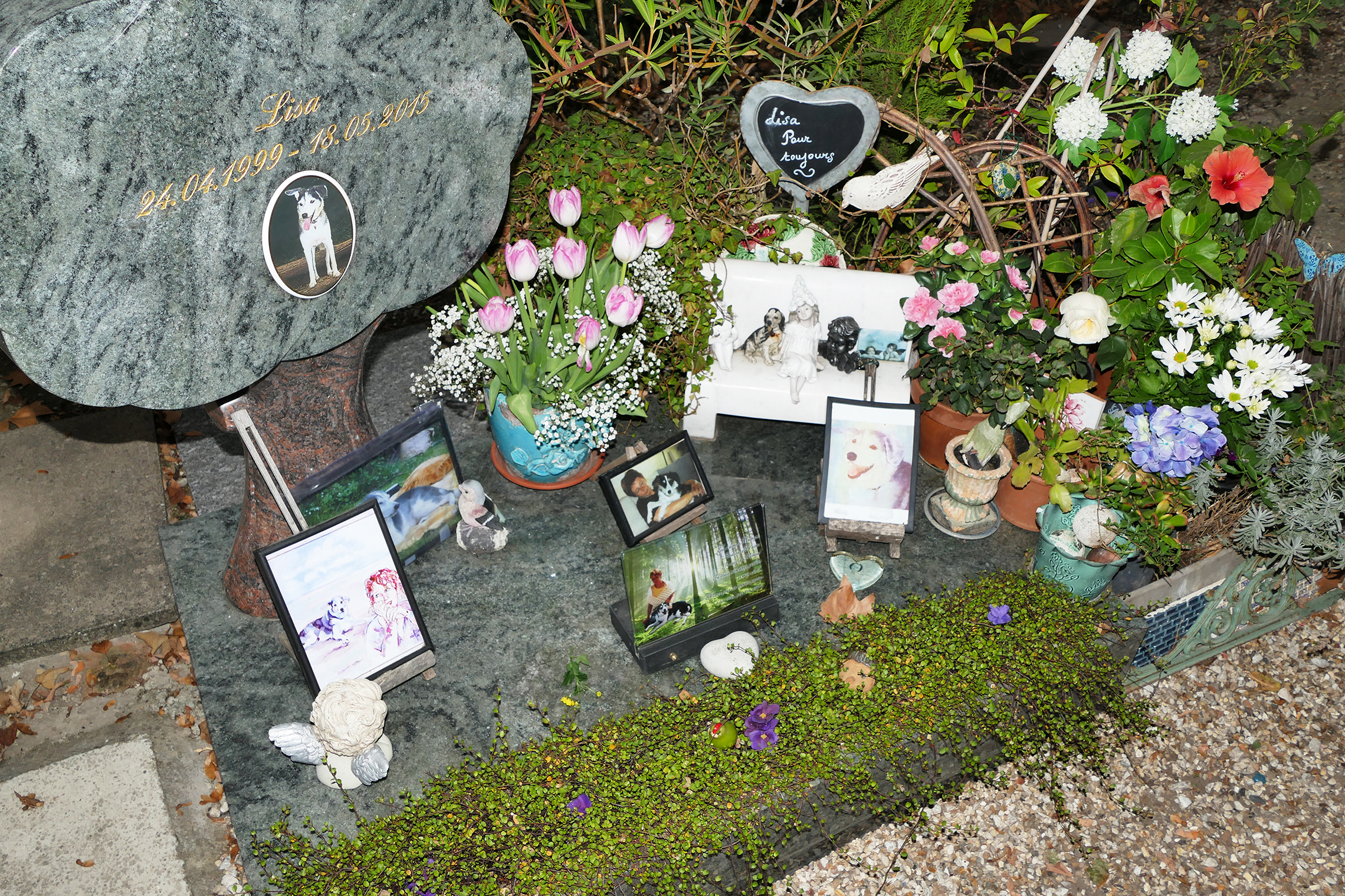 cimitir de caini din franta, cimitir de caini