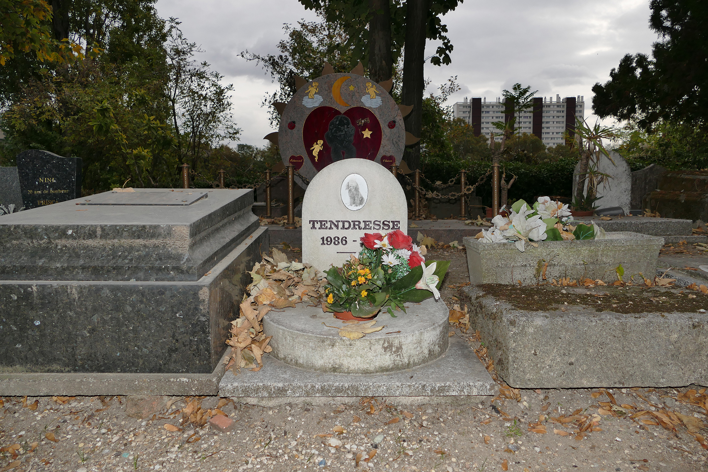 cimitir de caini din franta, cimitir de caini