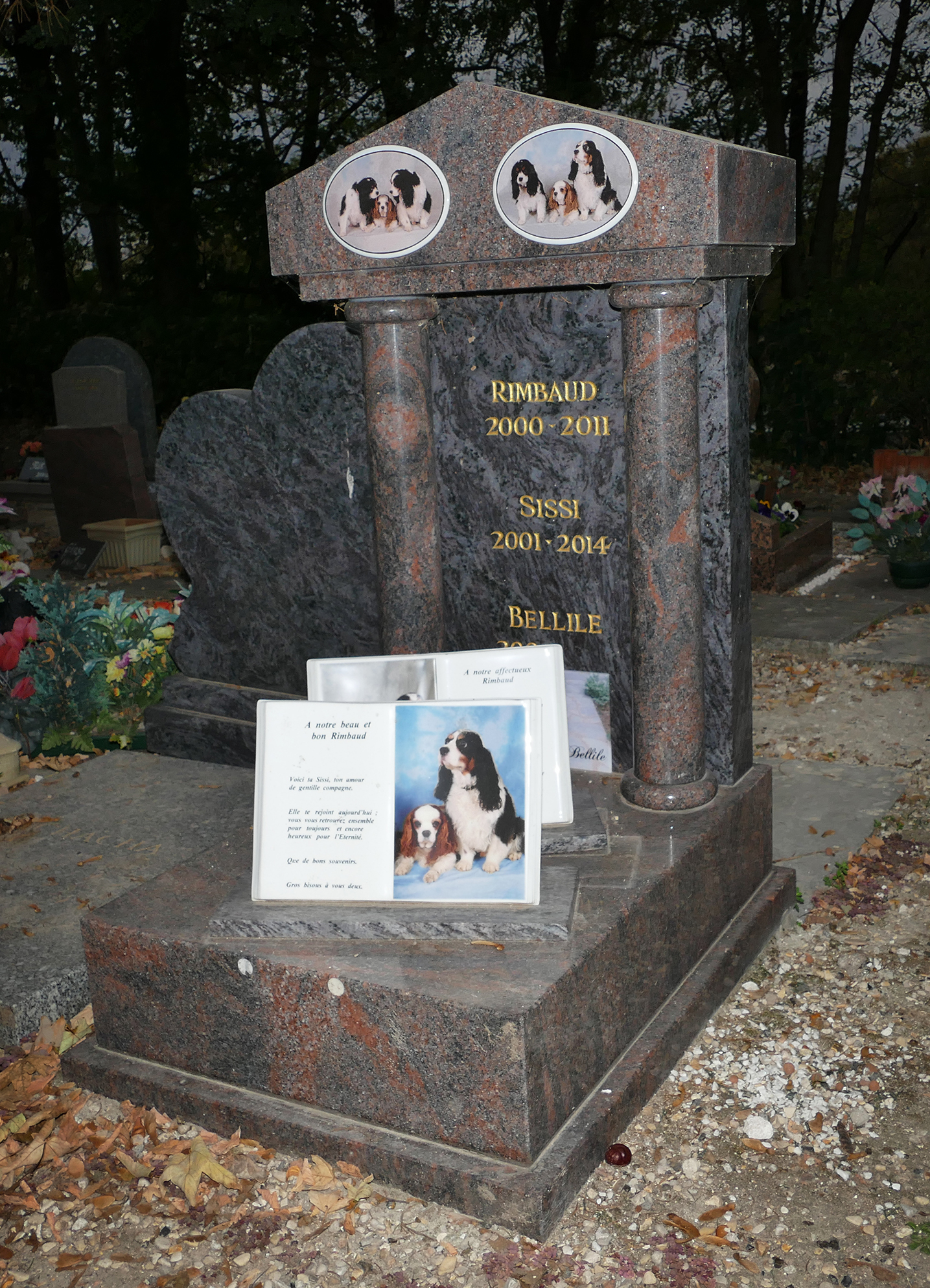cimitir de caini din franta, cimitir de caini