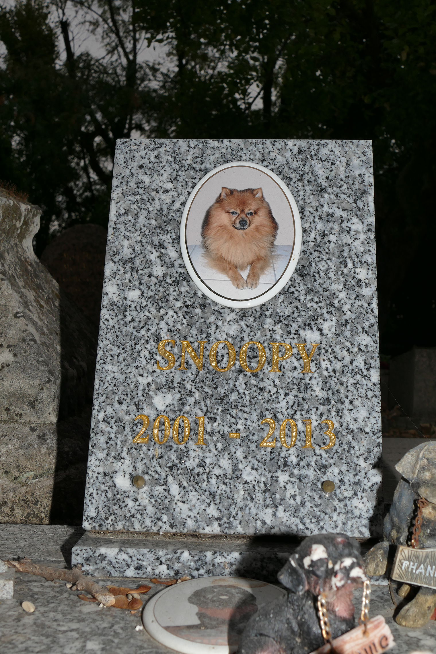 cimitir de caini din franta, cimitir de caini