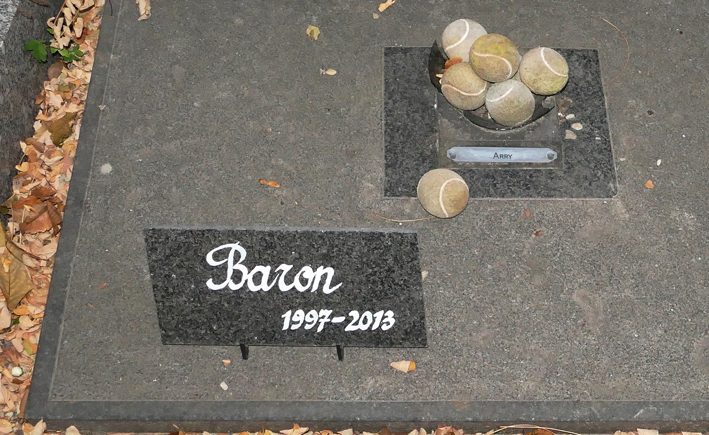 cimitir de caini din franta, cimitir de caini