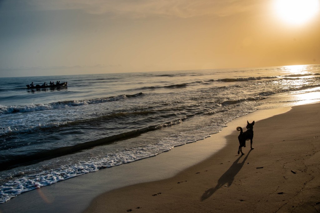 5 Black Men Have Been Missing For a Year. Their Community Wants Answers.