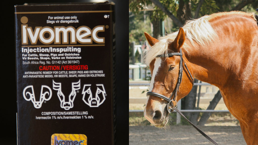 People Are Poisoning Themselves With a Bogus COVID ‘Cure’ Meant for Horses