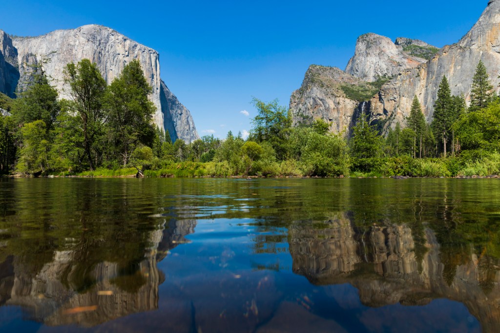 A Family Mysteriously Died While Hiking. It May Have Been Toxic Algae.