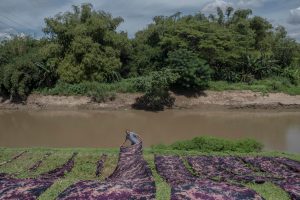 Sungai Bengawan Solo Tercemar Ciu hingga Limbah Tekstil PDAM Surakarta Hentikan Pengolahan Air