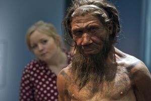 Scientists Spent Years Pretending to Be Neanderthals Catching Birds by Hand