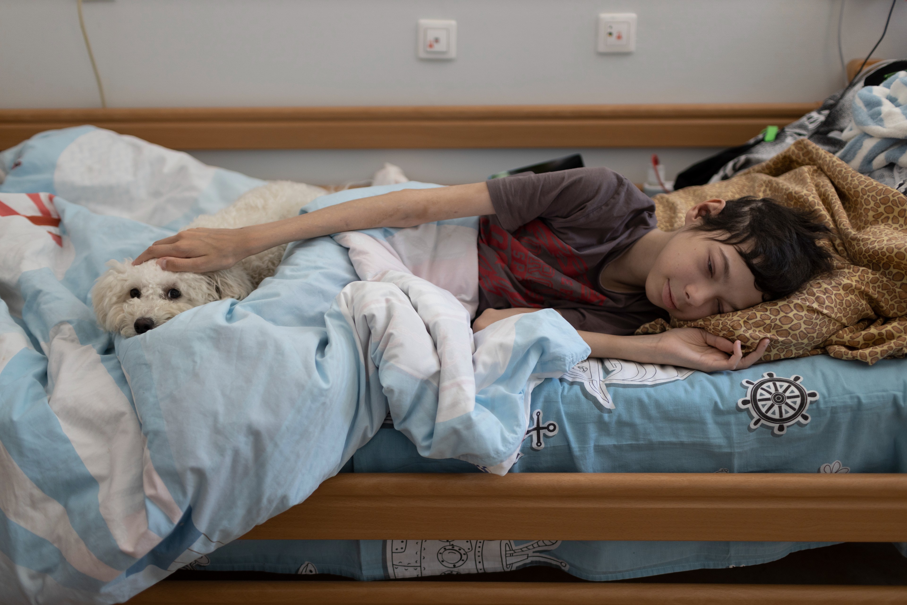 Ein sehr dünner Junge mit dunklen Haaren liegt mit einem kleinen weißen Hund in einem Bett, die Bettdecken haben Marinemuster