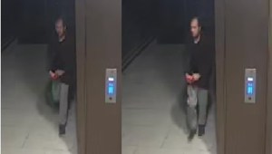 Police Investigating Murder of Sabina Nessa Release New CCTV Images