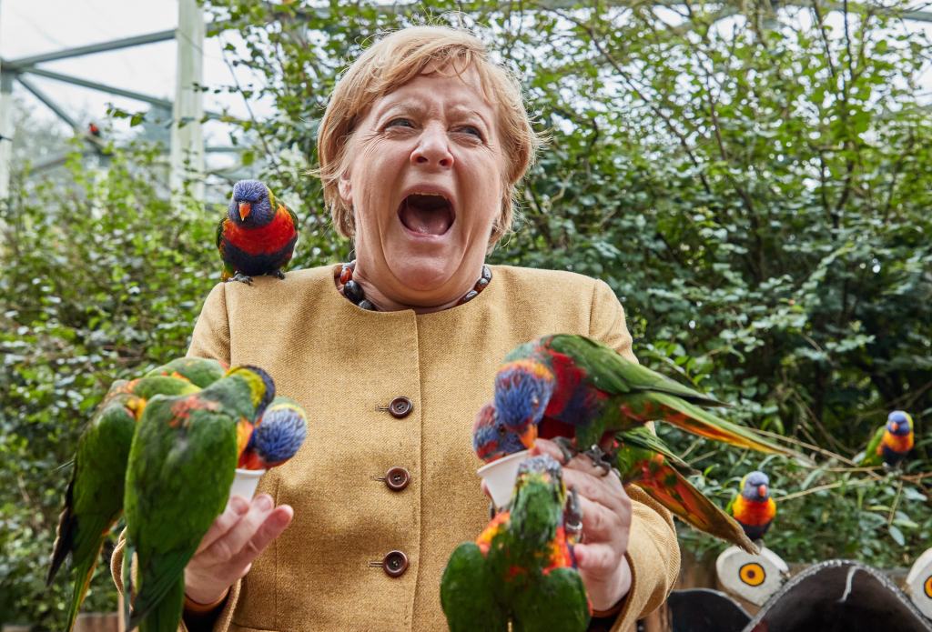 Angela Merkel perroquets