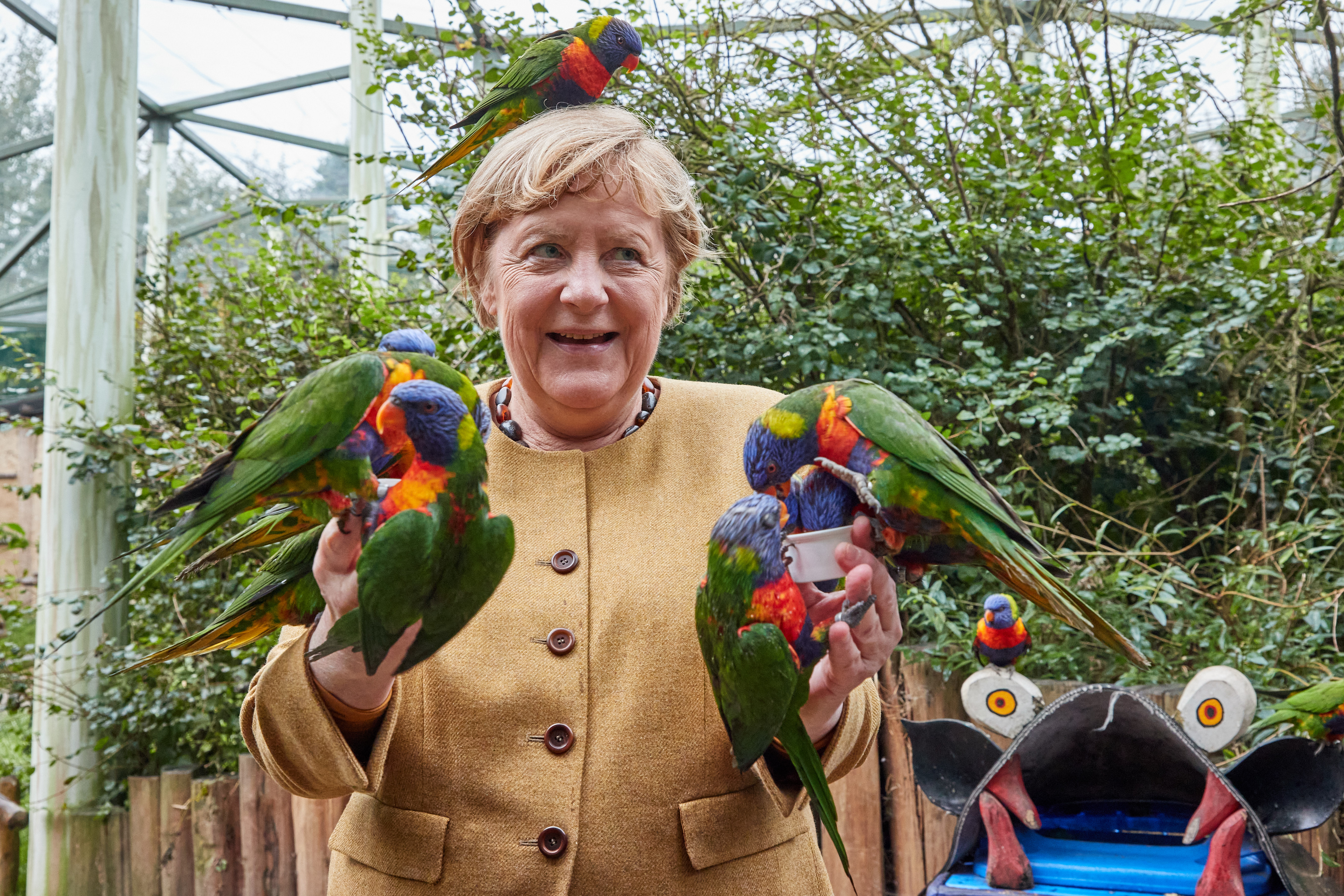 Merkel unsicher dreinschauend mit einem Haufen Papageien auf Kopf und Armen