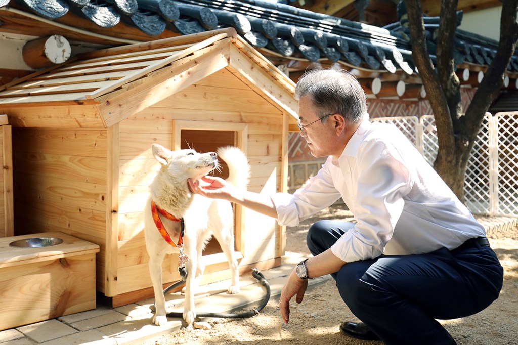 Le président de la Corée du Sud envisage d’interdire la viande de chien