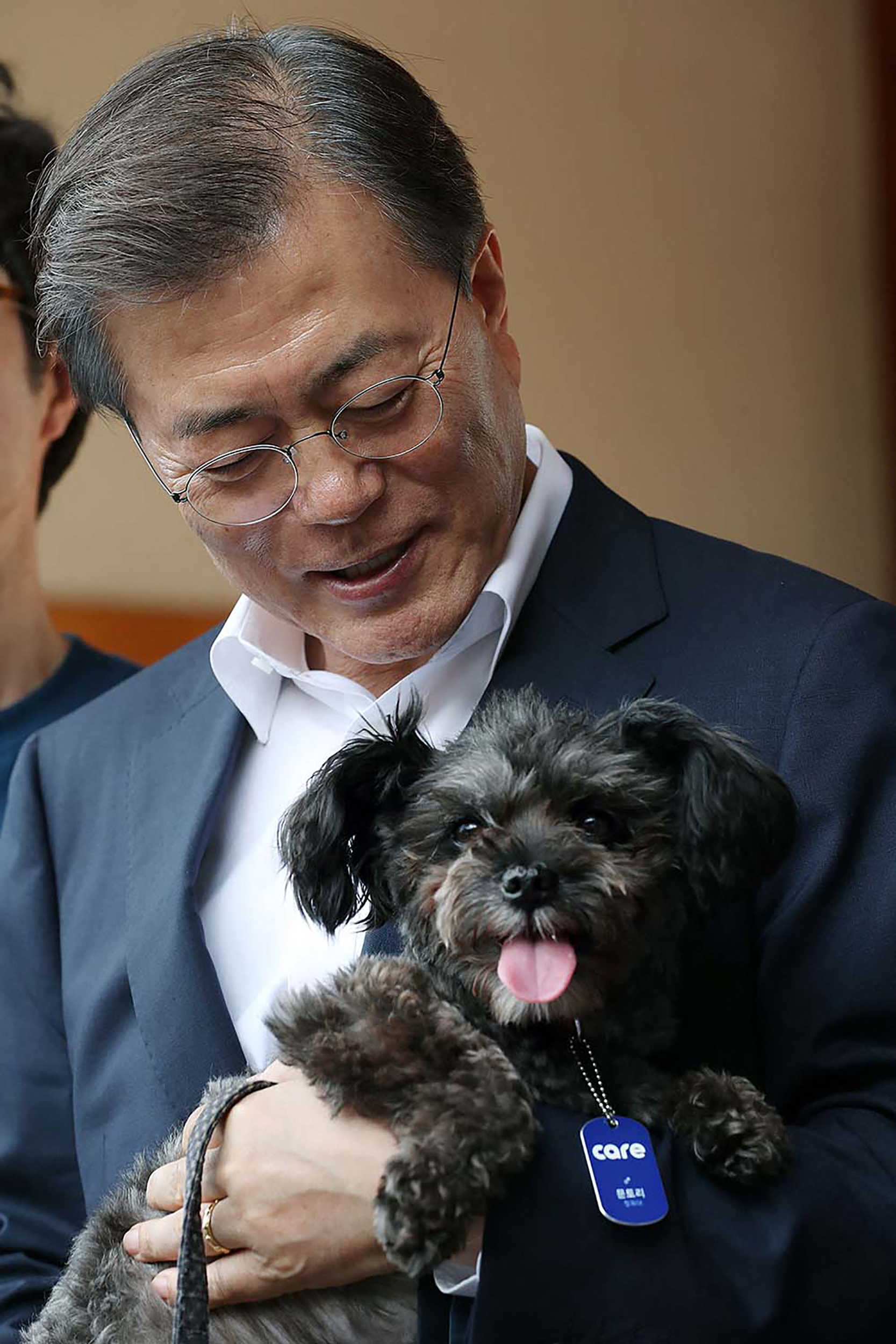 Doggo, Dogs, Dog meat, Eating dogs, South Korea, Moon Jae-in
