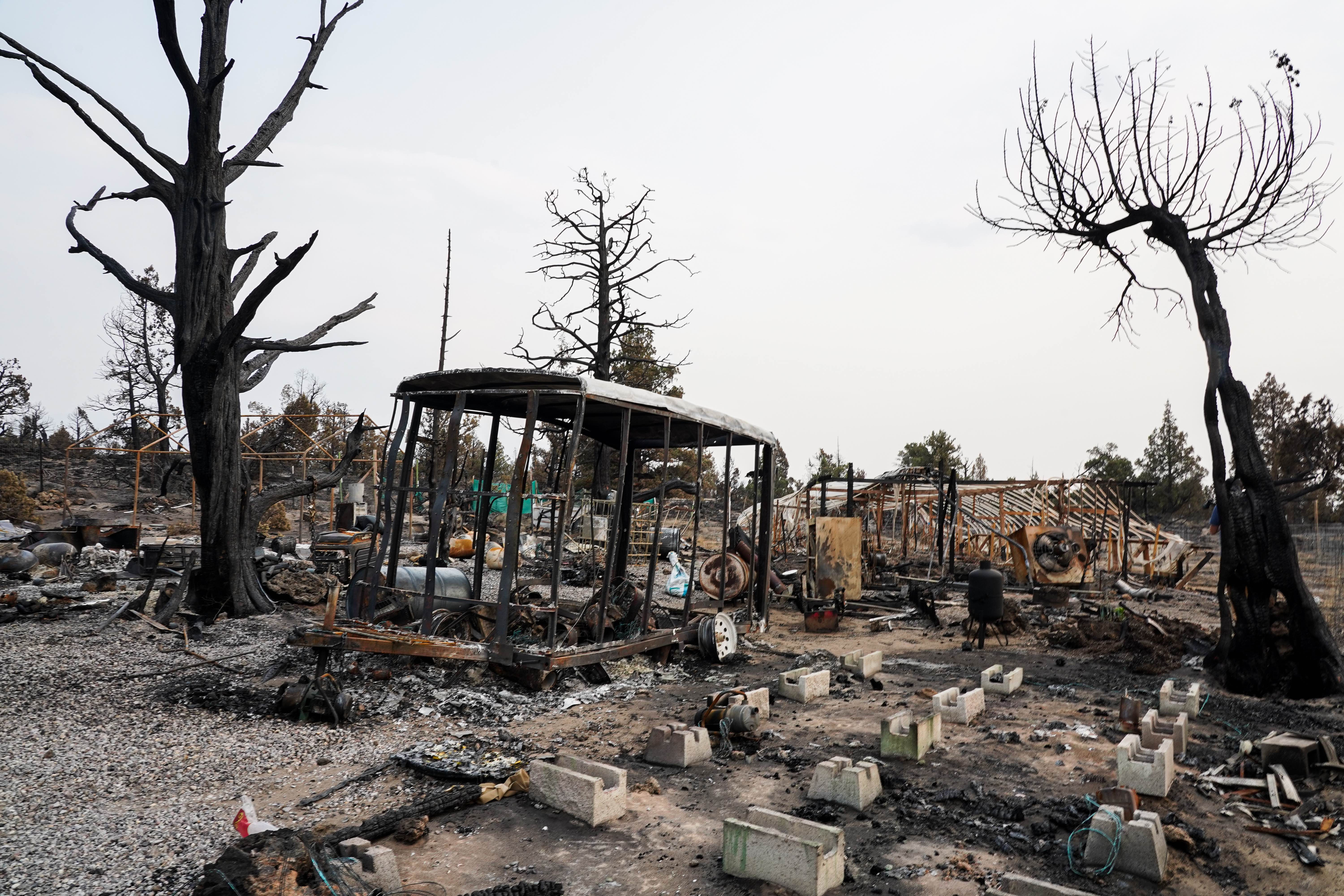 burned site.jpg
