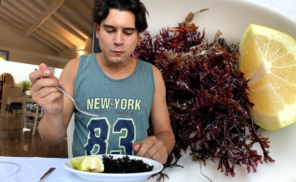 Ik at het zeldzaamste zeewiergerecht van Sicilië