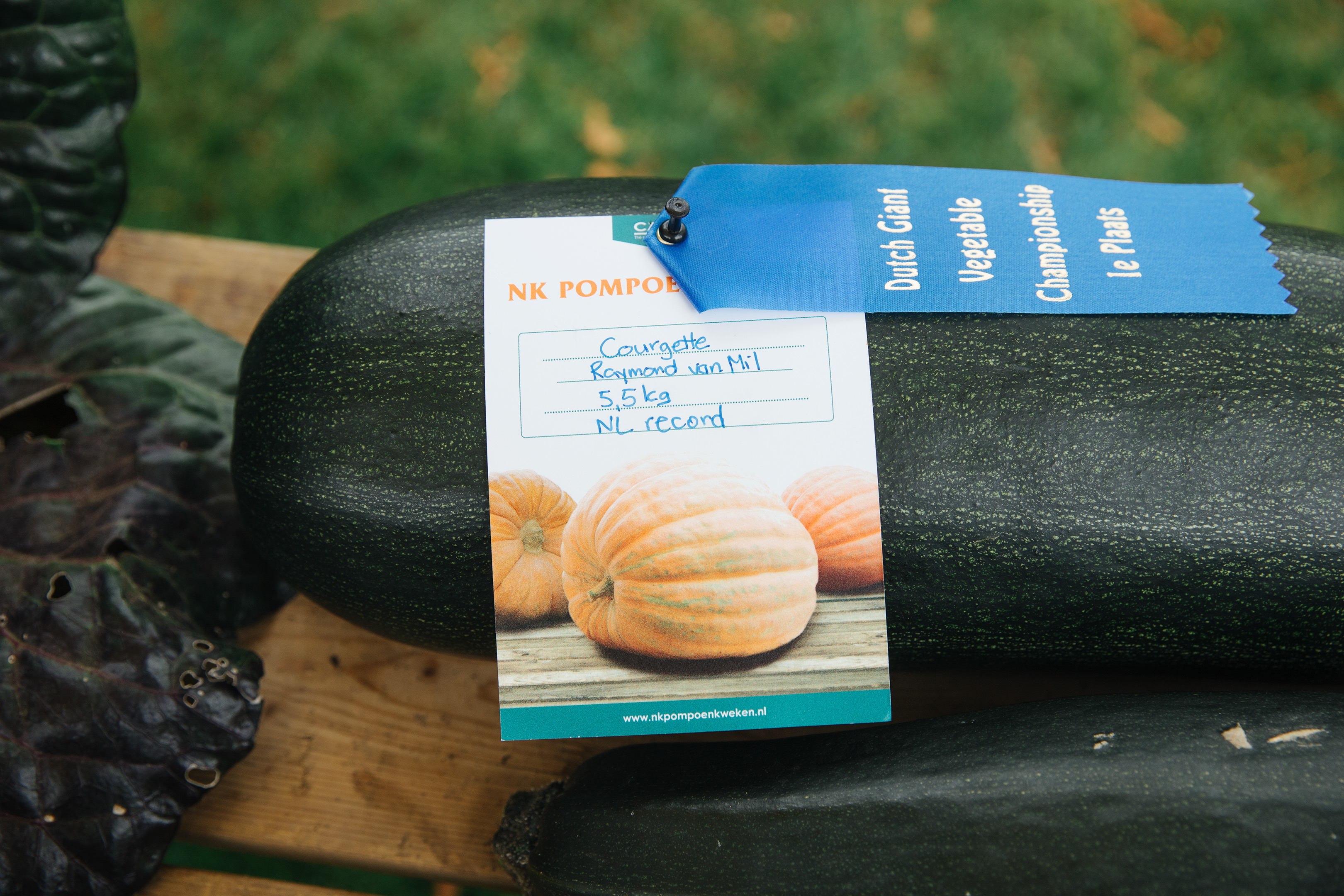 Raymond van Mil, Netherlands, pumpkins - close-up image of a thick courgette festooned with two labels (one blue with white text, the other a photo of three pumpkins on a white background)