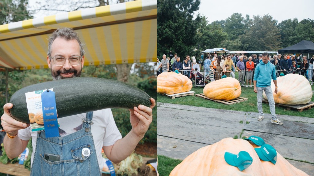 Fotografije bizarno prevelikih bundeva sa takmičenja uzgajivača u Holandiji
