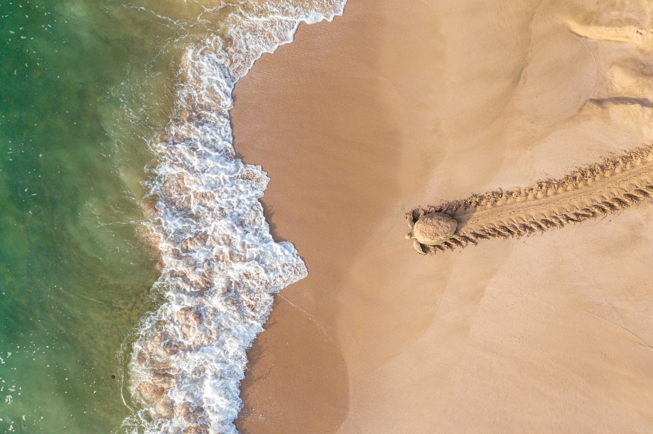 De vuelta a la aventura Drone Photography Awards