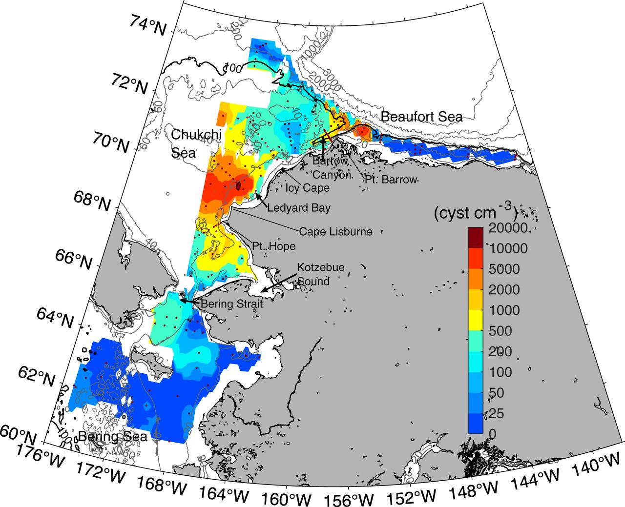 A map from Anderson's study showing the extent and concentration of toxic A. catenella cysts in the Chukchi and Beaufort seas.
