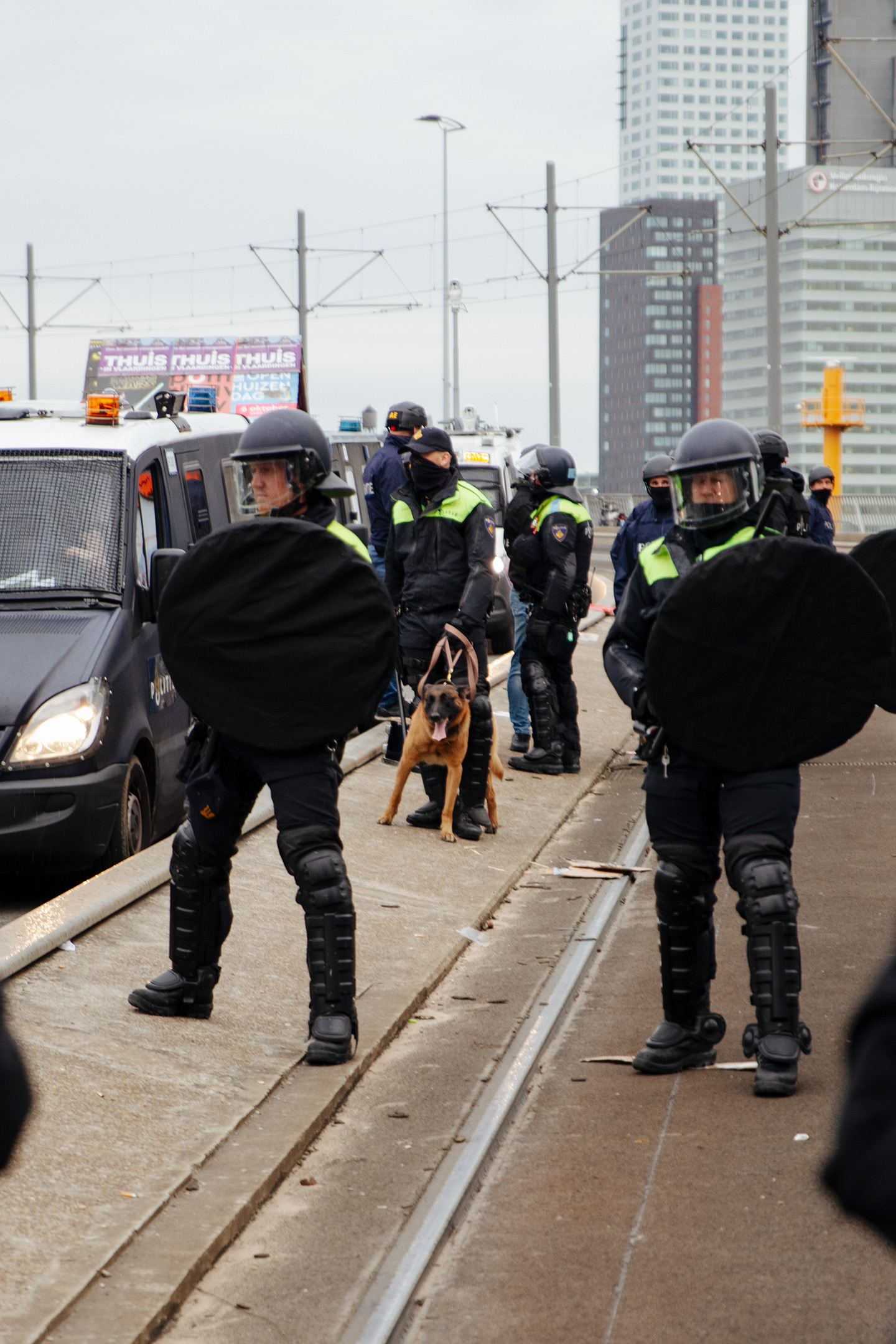 WOONOPSTAND hond.jpg
