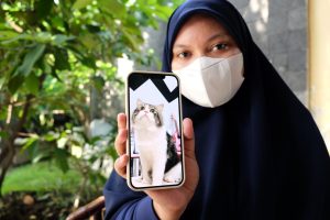 Perdagangan gelap daging kucing marak di Medan berkat kasus viral Tayo Kucing Persia