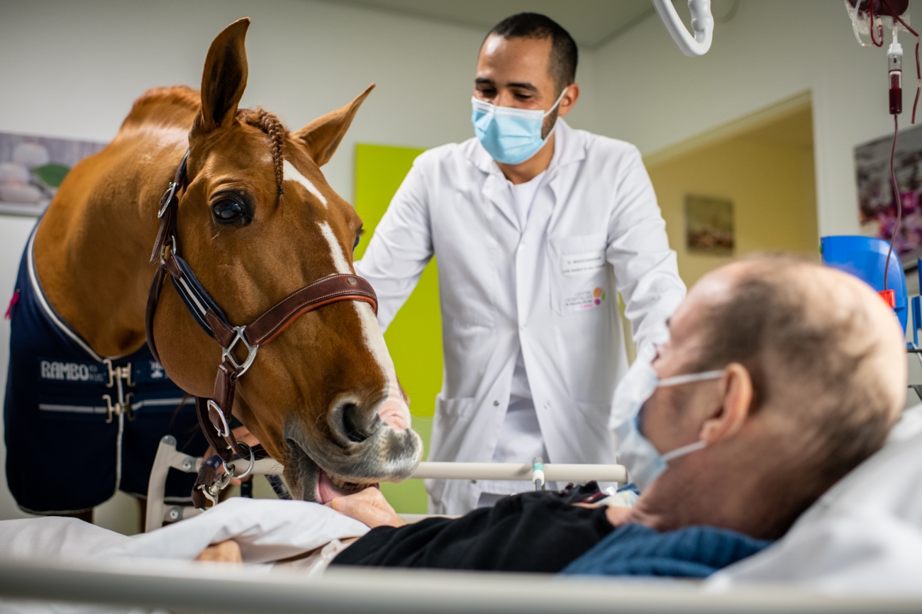 In the palliative care centre at the Calais hospital, Peyo, a two-time dressage champion, licks the hands of 64-year-old Roger. Photo: Jeremy Lempin