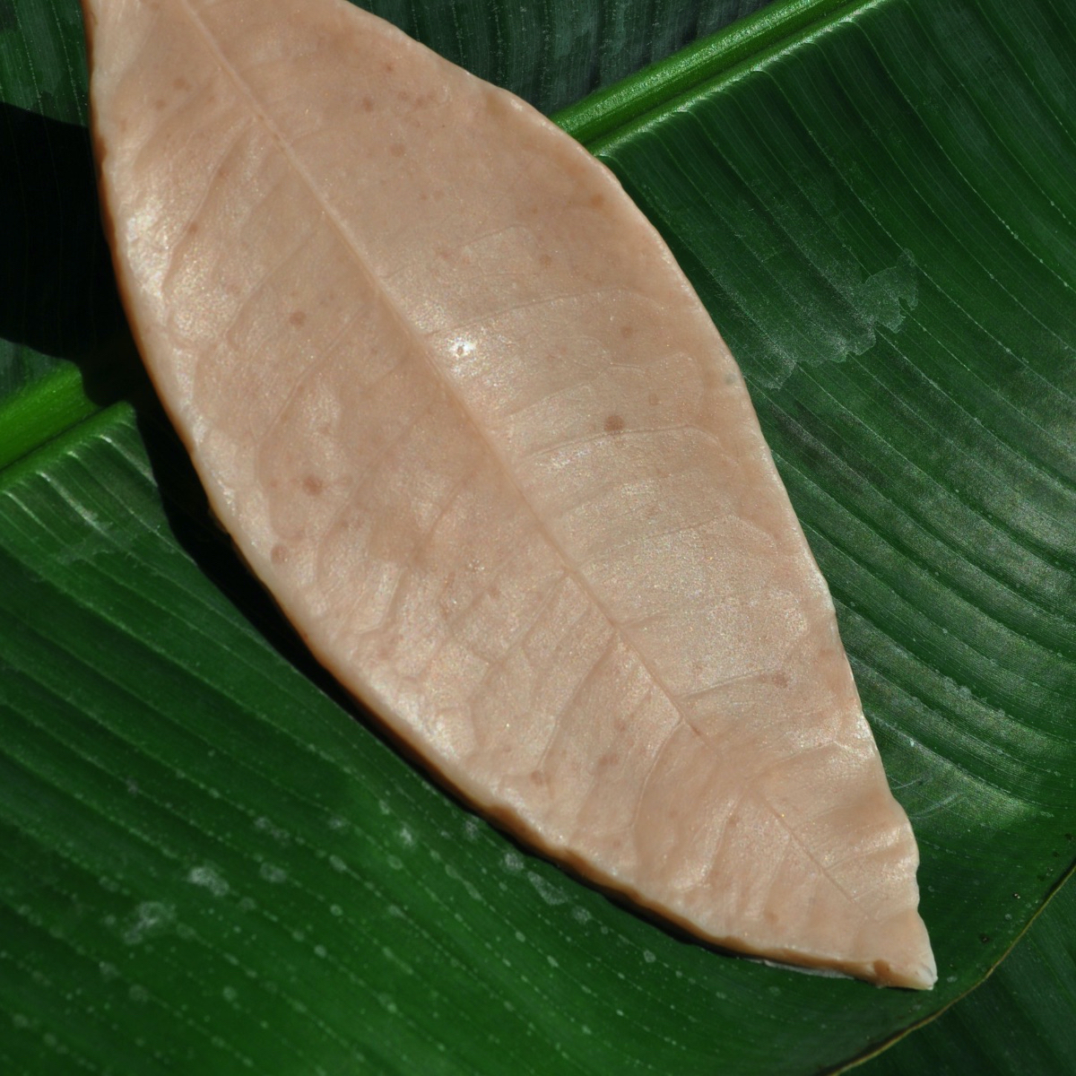 Matteo Ingrao, sculpture, art - Photo of a sculpture which resembles a leaf made of human flesh resting atop a dark green leaf.