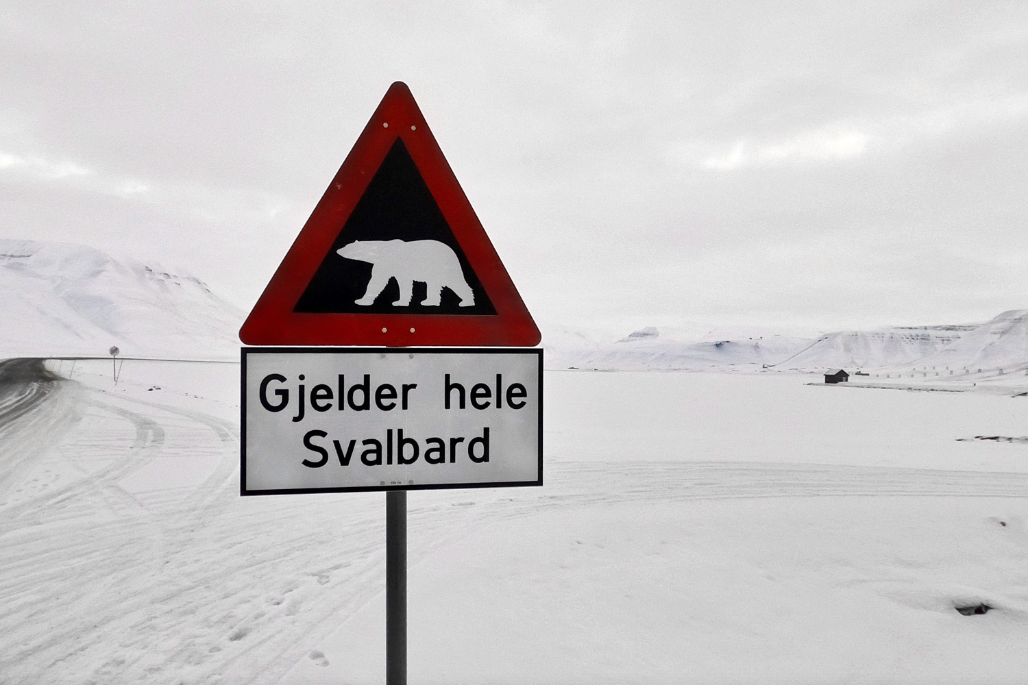 cucina artica Isole Svalbard.jpg