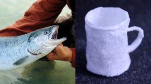 ​Scientists at Tianjin University in China have created a new bioplastic called DNA plastic, usingDNA