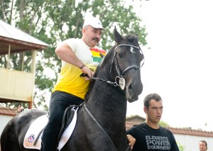 codin maticiuc nutu camataru carte, recenzie dresor de lei si de fraieri