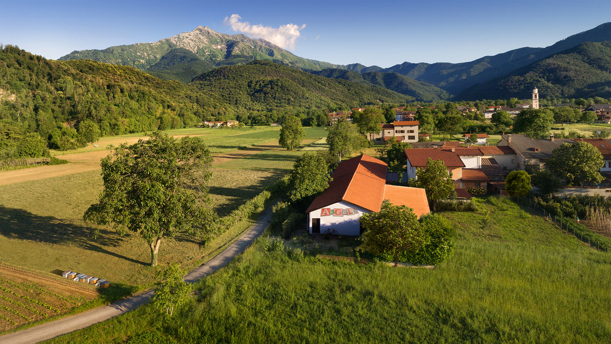 Argalà pastis piemonte.jpg