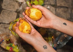 dumpster diving, trucuri sa eviti risipa alimentara