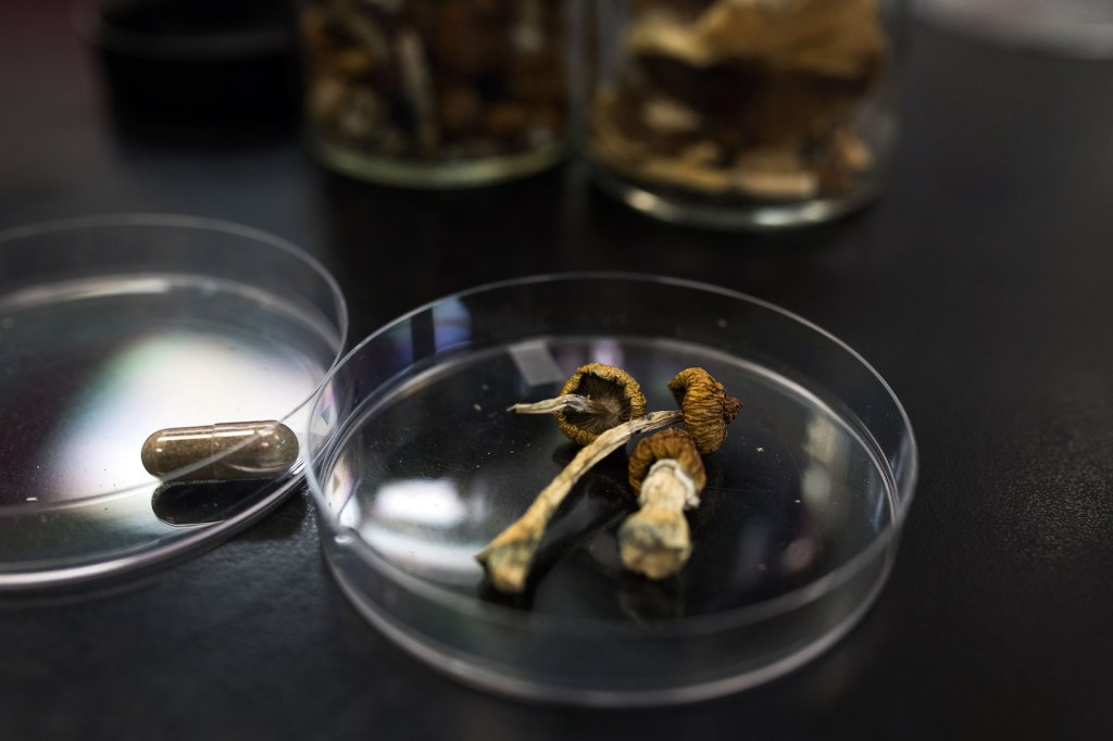 psilocybin
