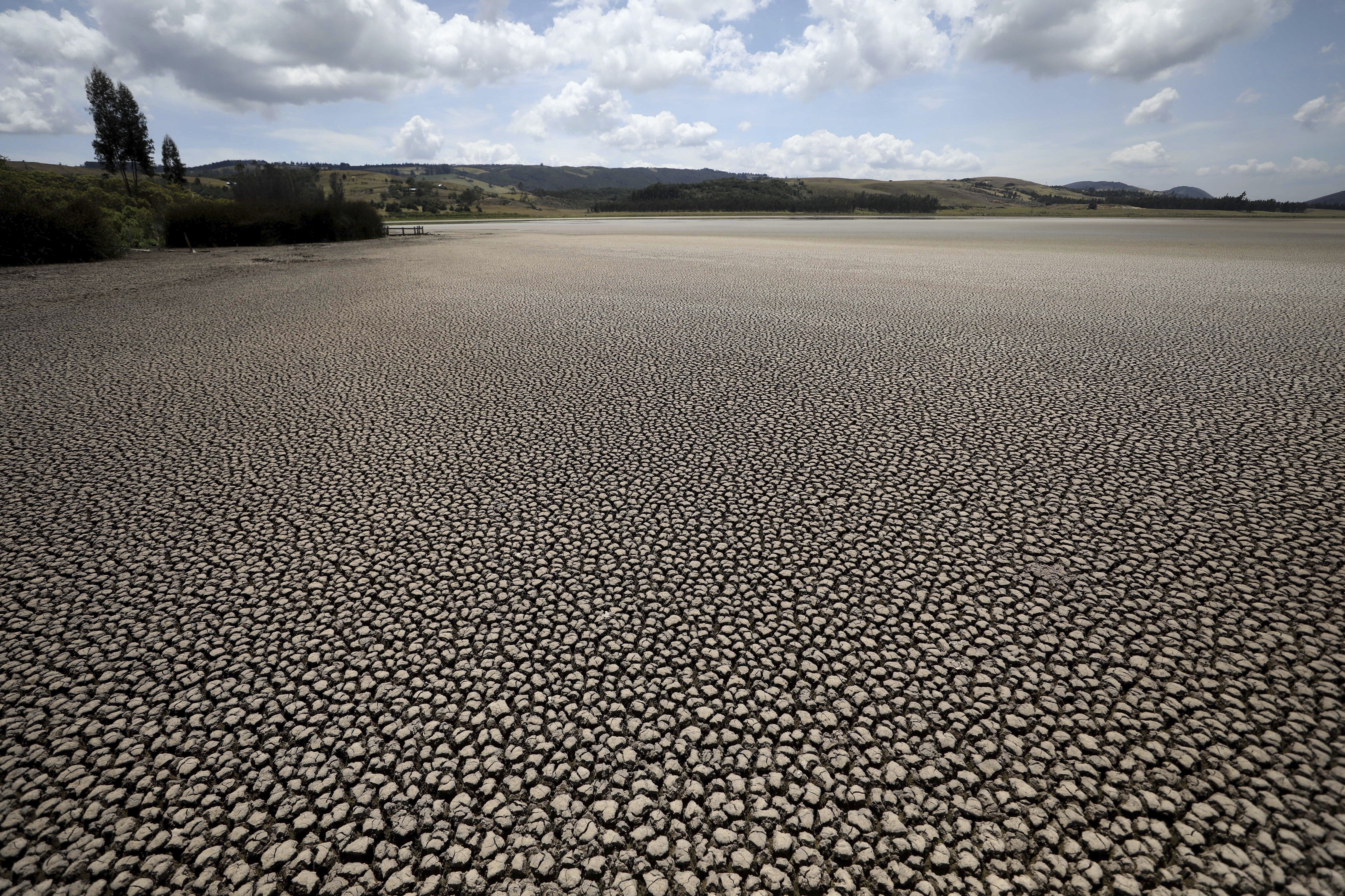 Il lago Suesca, in Colombia, del tutto prosciugato. Foto: AP Photo/Fernando Vergara.