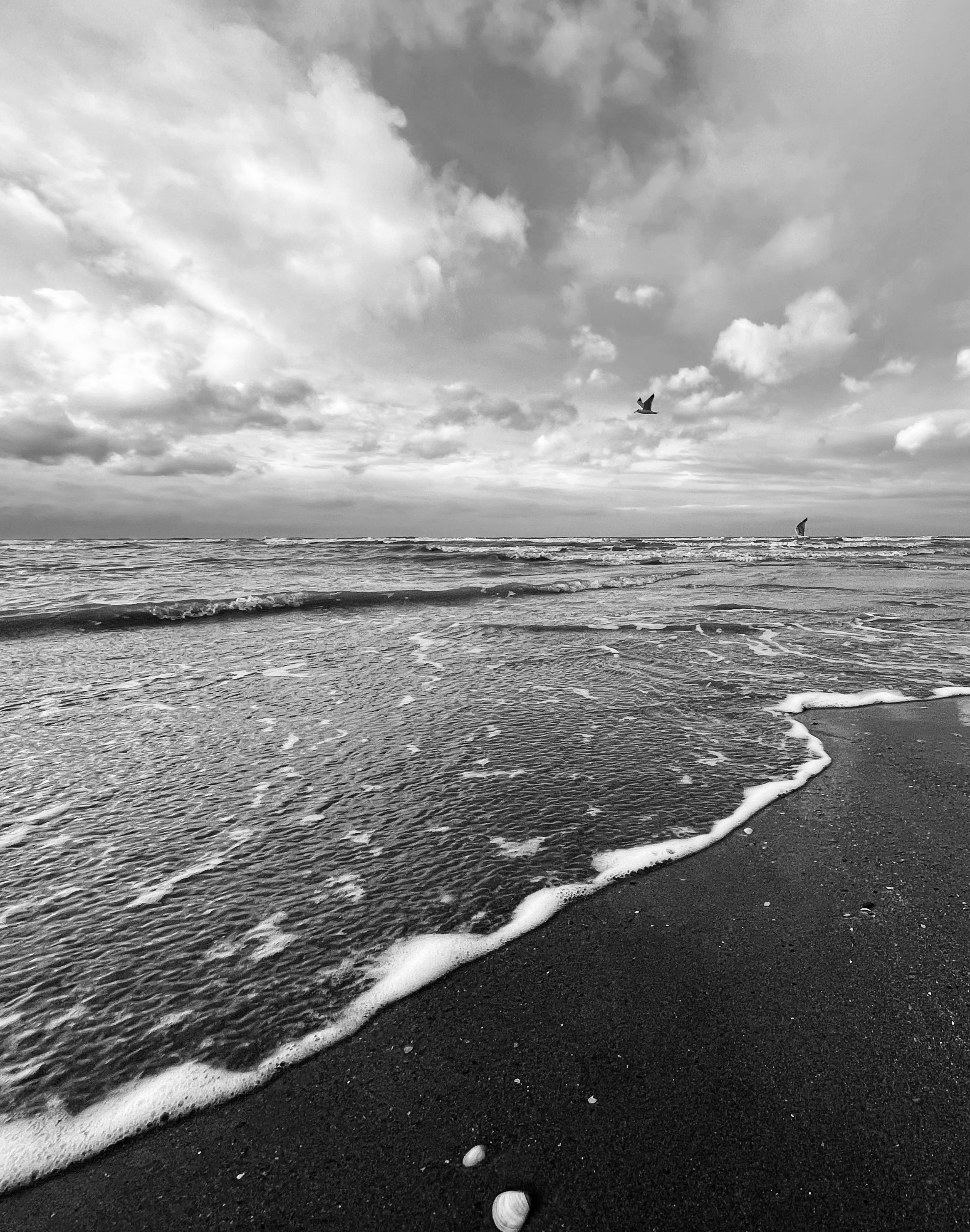 Calais, refugee camps - Black and white photo of waves lapping against the shore.