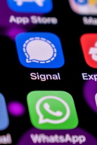 Signal