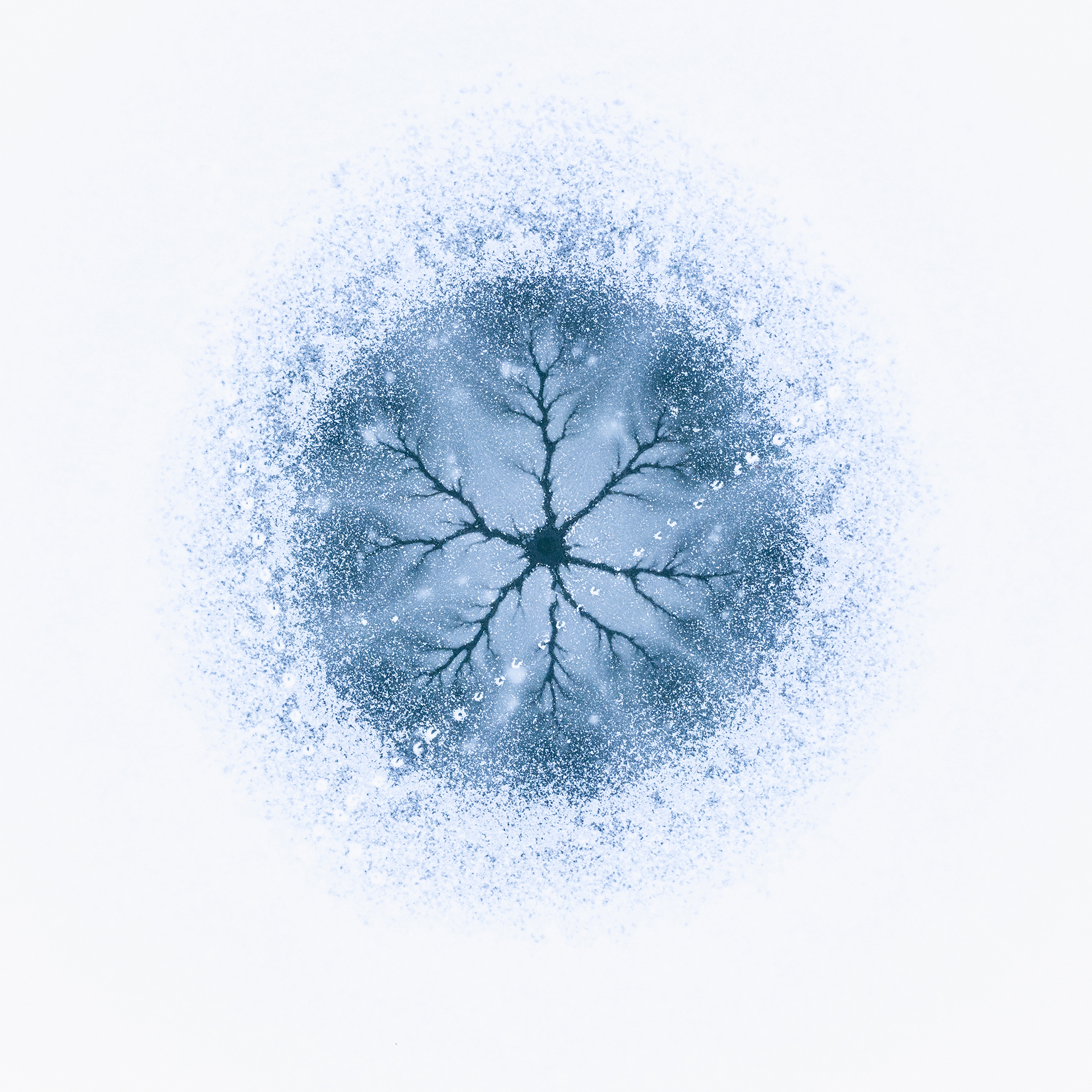 NPOTY Photo Contest 2021-Ice cell-Gheorghe Popa-Category Winner-C7 Nature Art.jpg
