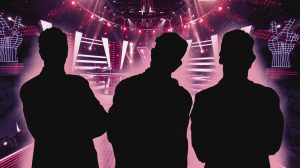the voice seksueel geweld