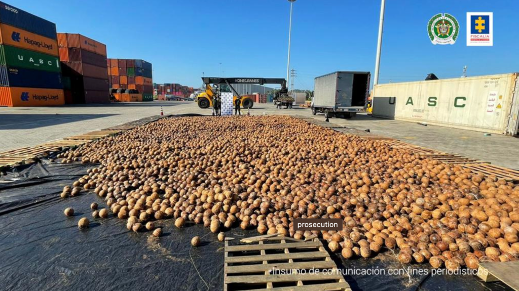 Taktik Unik Kartel Kolombia: Selundupkan Puluhan Ribu Buah Kelapa Diisi Kokain