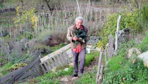 Nossiter e orto lago di bolsena