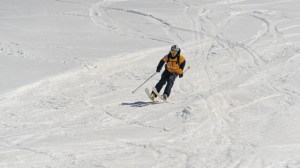 1584210640622-FWQ_Parnassos2020_OS306446